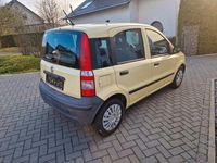 Gebraucht Fiat Panda 54 PS (39 kW) 2009 Gelb Kleinwagen