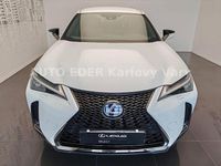 Gebraucht Lexus UX 250h Sport Line 152 PS (111 kW) 2019 Weiß SUV