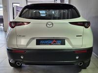 Neu Mazda CX-30 Exclusive 140 PS (102 kW) 2026 Snowflake white pearl SUV