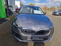 Neu Skoda Scala Tour 116 PS (85 kW) 2025 Graphitegrau metallic Kleinwagen