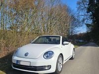 Gebraucht VW Beetle Cabriolet Allstar 105 PS (77 kW) 2016 Weiß Cabrio