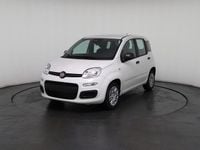 Neu Fiat Panda 69 PS (50 kW) 2025 Weiß, weiß uni Kleinwagen