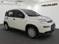 Gebraucht Fiat Panda 70 PS (51 kW) 2024 Weiss Kleinwagen