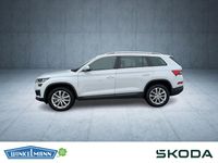 Gebraucht Skoda Kodiaq Style 150 PS (110 kW) 2022 Weiss SUV