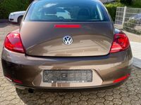 gebraucht VW Beetle -