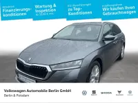 Gebraucht Skoda Octavia Style 150 PS (110 kW) 2023 Grau Kombi