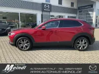 Gebraucht Mazda CX-30 Selection 186 PS (136 kW) 2022 Soul red crystal SUV