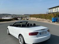 Gebraucht Audi A5 Cabriolet Exclusive 245 PS (180 kW) 2014 Weiß Cabrio