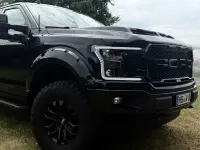 Gebraucht Ford F-150 Raptor 381 PS (280 kW) 2020 Schwarz Pickup