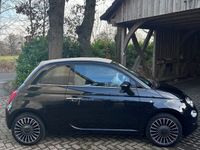 gebraucht Fiat 500C 0.9 8V TwinAir Lounge C S&S Lounge