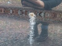 Gebraucht Kia ProCeed EX 126 PS (92 kW) 2009 Schwarz Kleinwagen