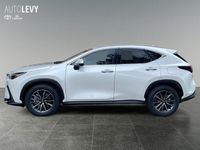 Gebraucht Lexus NX450h+ 309 PS (227 kW) 2025 Weiß SUV