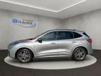 Gebraucht Ford Kuga ST-Line X 150 PS (110 kW) 2020 Silber SUV