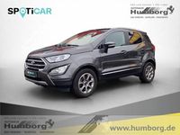 Gebraucht Ford Ecosport Titanium 125 PS (91 kW) 2019 Metallic) (grau SUV
