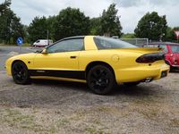 gebraucht Pontiac Firebird Targa *aus Liebhaberhand*