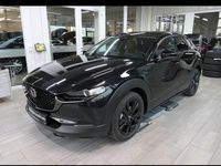Neu Mazda CX-30 Nagisa 140 PS (102 kW) 2026 SUV
