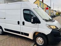 Gebraucht Opel Movano Edition 140 PS (102 kW) 2022 Casabl/arctic/eisweiss/kaolin Van