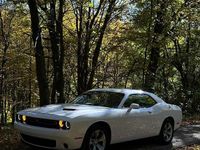 Gebraucht Dodge Challenger SXT 309 PS (227 kW) 2016 Coupé