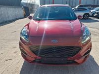 Gebraucht Ford Kuga ST-Line X 150 PS (110 kW) 2020 Rot SUV