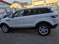 Gebraucht Land Rover Range Rover evoque 150 PS (110 kW) 2013 Weiß SUV
