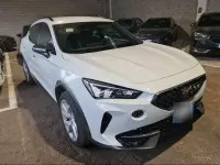Gebraucht Cupra Formentor 204 PS (150 kW) 2023 "nevada" weiss SUV