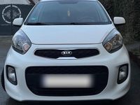 Gebraucht Kia Picanto 87 PS (63 kW) 2016 Weiß Kleinwagen