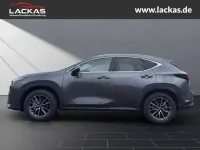 Neu Lexus NX350h Executive Line 243 PS (178 kW) 2026 Obsidiangrau SUV