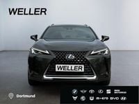 Gebraucht Lexus UX 250h 184 PS (135 kW) 2022 Gruen SUV