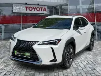 Gebraucht Lexus UX 250h Executive Line 184 PS (135 kW) 2023 Weiß SUV