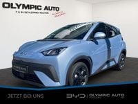 Nowe BYD Dolphin Surf Boost 64 kW (88 KM) 2025 Niebieski Hatchback