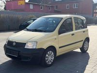 Gebraucht Fiat Panda Active 54 PS (39 kW) 2009 Mambo gelb Kleinwagen