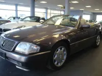 Gebraucht Mercedes SL300 231 PS (169 kW) 1991 Bornitmetallic Cabrio