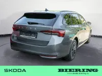 Neu Skoda Octavia Selection 150 PS (110 kW) 2026 Grau Limousine