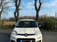 Gebraucht Fiat Panda 70 PS (51 kW) 2021 Weiß Kleinwagen