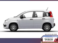 Neu Fiat Panda Pop 65 PS (47 kW) 2026 Gelato weiß Kleinwagen