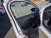 Gebraucht Ford Focus ST-Line 150 PS (110 kW) 2018 Other Kombi