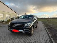 Gebraucht Mercedes ML250 204 PS (150 kW) 2013 Schwarz SUV