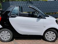 Gebraucht Smart ForTwo Cabrio Basis 71 PS (52 kW) 2019 Andere farben Cabrio