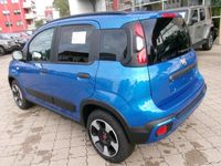 gebraucht Fiat Panda Cross 1.0 Mild Hybrid EU6d Apple CarPlay Android Auto Klimaautom DAB Regensensor