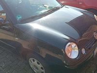 Gebraucht VW Lupo Conceptline 75 PS (55 kW) 2001 Kleinwagen