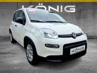 Gebraucht Fiat Panda 69 PS (50 kW) 2024 Gelato weiss Kleinwagen