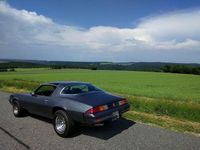 Gebraucht Chevrolet Camaro LT 179 PS (131 kW) 1978 Grau Coupé