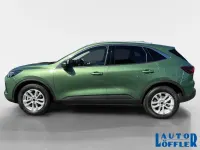 Gebraucht Ford Kuga Titanium 152 PS (111 kW) 2025 Burstinggreen (grün) (metallic) SUV