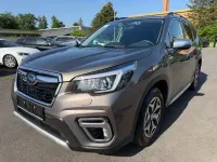 Usado Subaru Forester Active 150 CV (110 kW) 2020 Marrón SUV