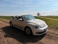 Gebraucht VW Beetle 105 PS (77 kW) 2014 Weiß Kleinwagen