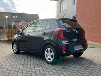 Gebraucht Kia Picanto Edition 7 84 PS (61 kW) 2017 Schwarz Kleinwagen