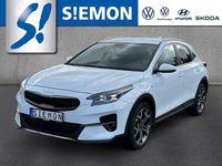 Gebraucht Kia XCeed Vision 160 PS (117 kW) 2022 Wd) cararraweiss (weiss SUV