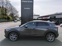 Gebraucht Mazda CX-30 Selection 150 PS (110 kW) 2020 Grau SUV