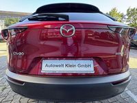 Gebraucht Mazda CX-30 Selection 150 PS (110 kW) 2023 Soul red crystal SUV