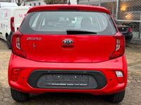 Gebraucht Kia Picanto Edition 7 84 PS (61 kW) 2018 Rot Kleinwagen